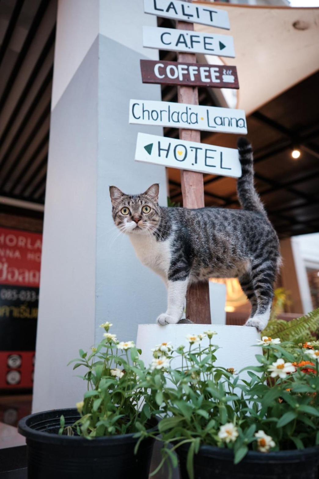 Chorlada Lanna Hotel Чіангмай Екстер'єр фото